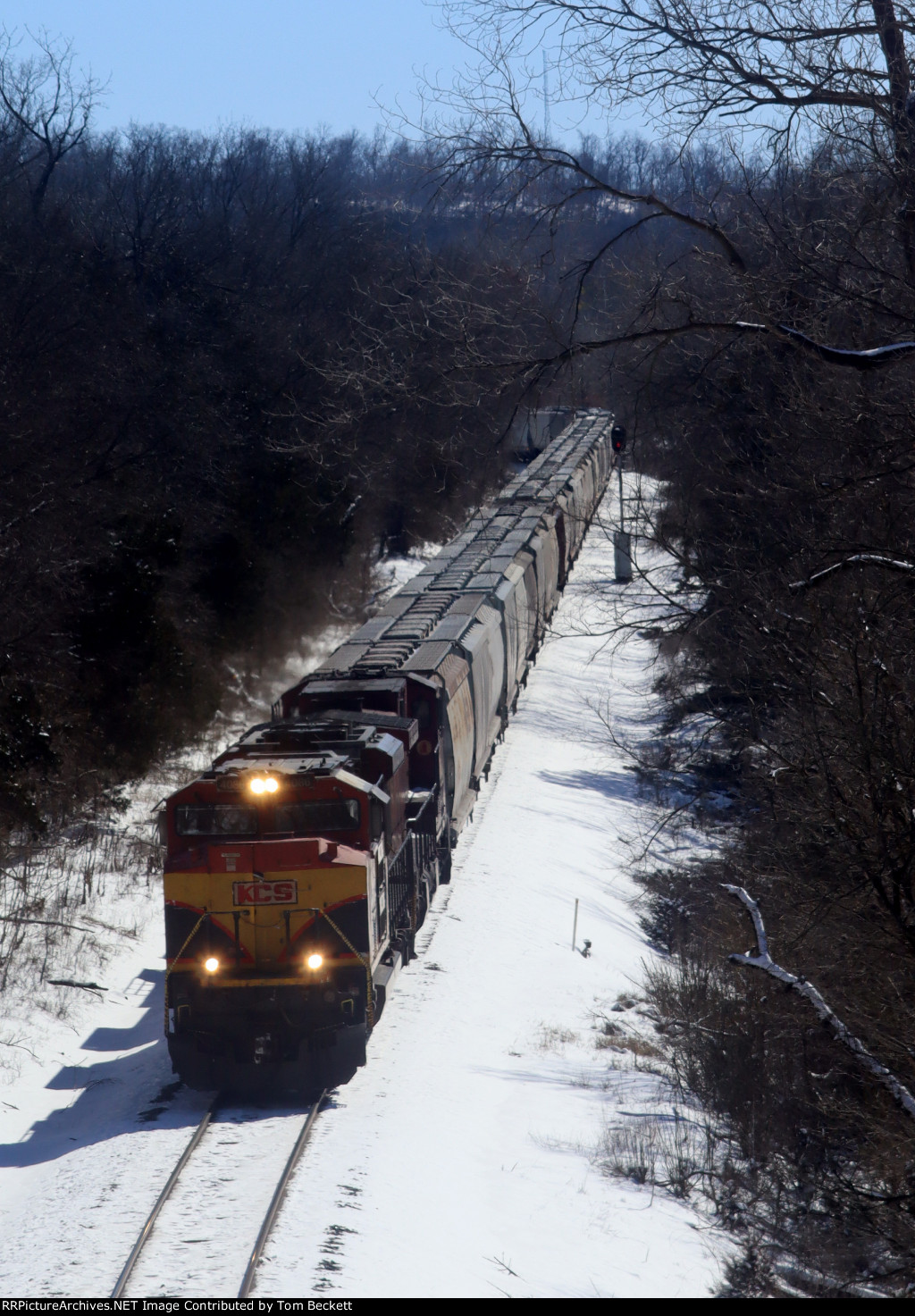 Snowy straight on